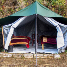 bompu-camp-500×500