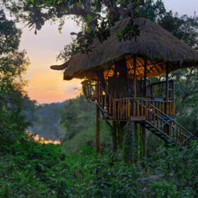 evolve-back-coorg-dining-themachan-500×500