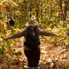 satpura-camp-walk-in-the-wild-500×500