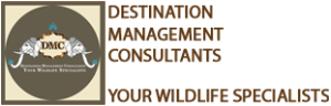 dmc_logo_small