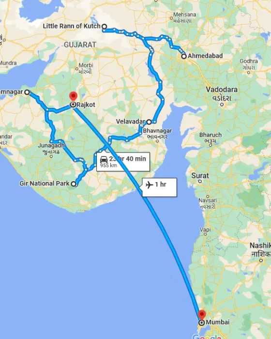 13-Highlights-of-Wild-Gujarat