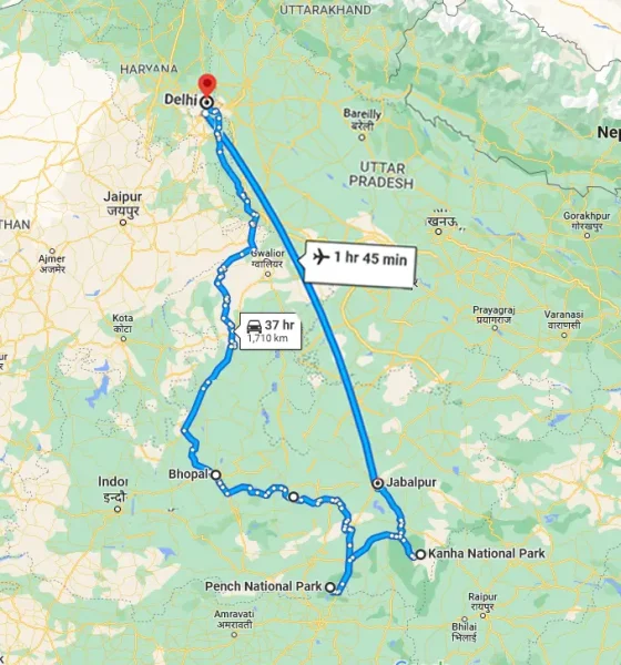 4-The-Jungle-Book-Tour