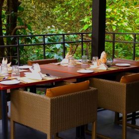 CGH-wayanad-wild-dining-500×500