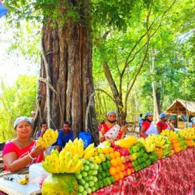 Fruiful-colours-Elephant-beach-Havelock-Saikat-Biswas-slider-500×500