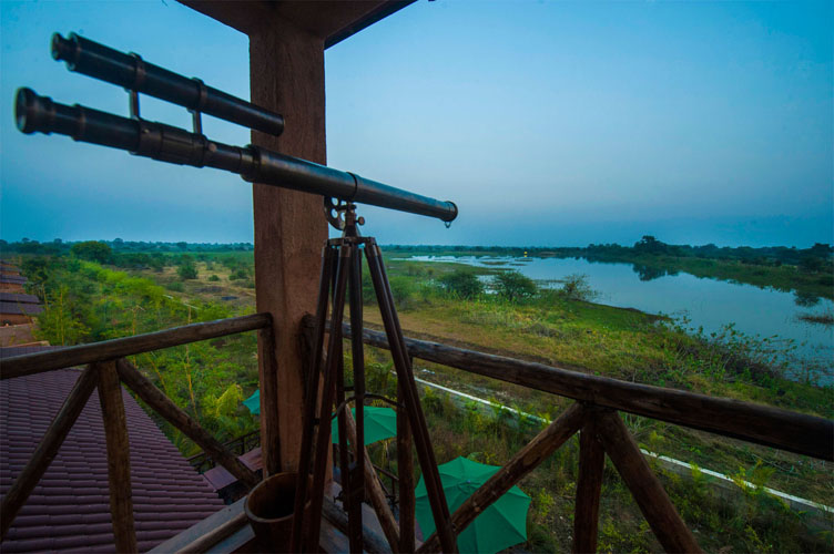 bamboo-forest-safari-lodge-gazebo-telescope-at-dusk-500×500