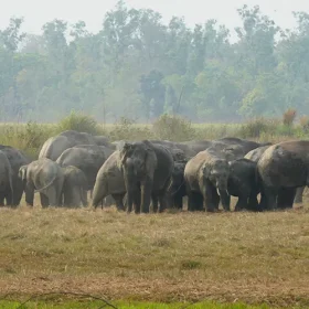 dudhwa-image4