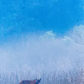 dudhwa-image7