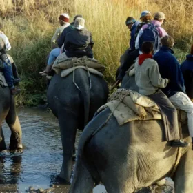elephant-ride-from-assam-slider-500×500