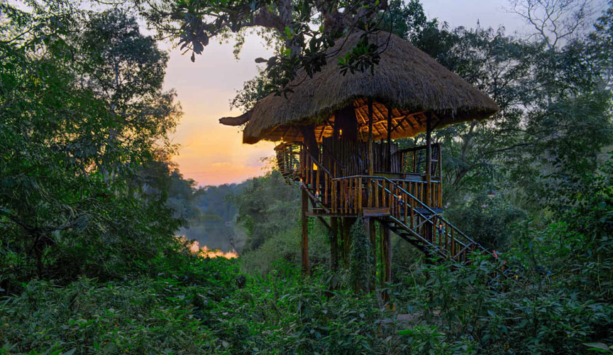 evolve-back-coorg-dining-themachan-500×500