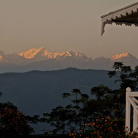 glenburn-tea-estate-view-site-500×500