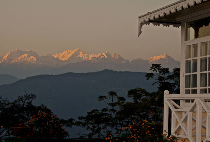 glenburn-tea-estate-view-site-500×500