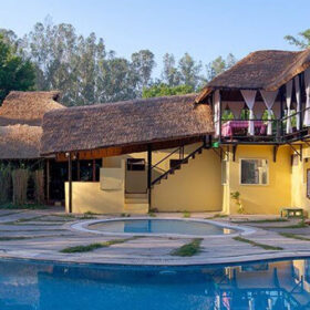 jims-jungle-retreat-swimming-pool-500×500