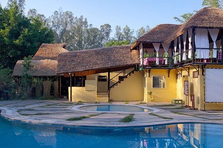 jims-jungle-retreat-swimming-pool-500×500