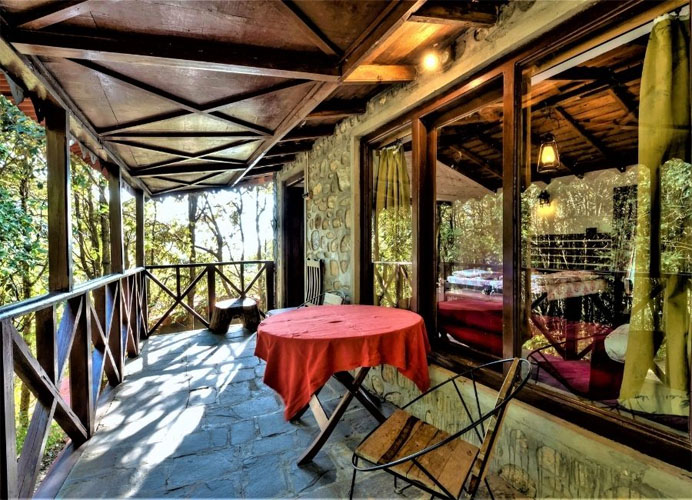 jungle-lore-cheer-cottage-deck-500×500