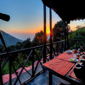 jungle-lore-cheer-cottage2-500×500