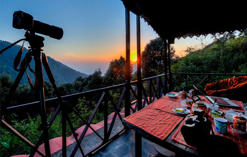 jungle-lore-cheer-cottage2-500×500