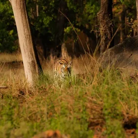 kanha-neelam-from-far-slider-500×500