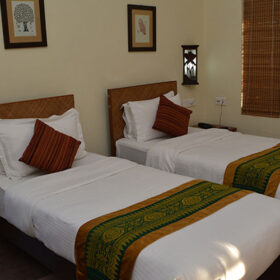 musa-jungle-retreat-stripped-panthera-500×500