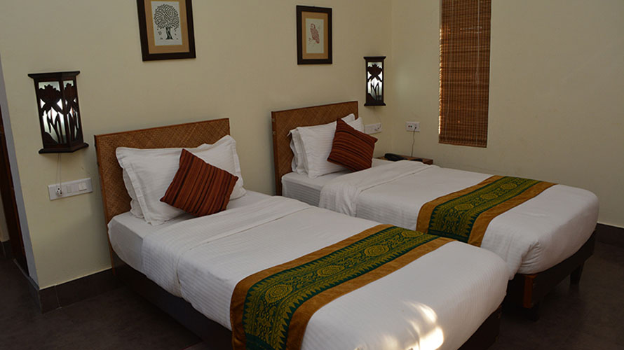 musa-jungle-retreat-stripped-panthera-500×500