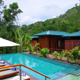 niraamaya-retreats-cardamom-club-swimming-pool-500×500