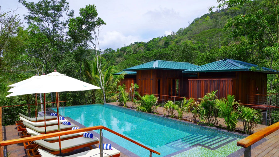 niraamaya-retreats-cardamom-club-swimming-pool-500×500