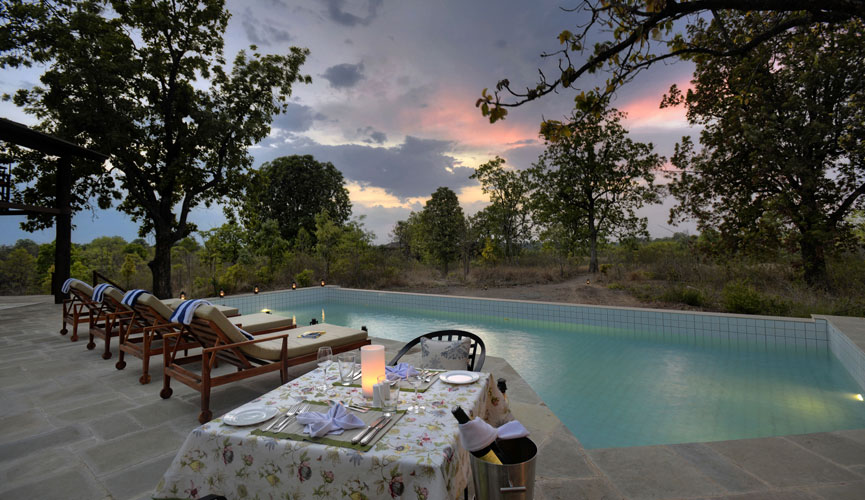 pench-tree-lodge-swimming-pool-500×500