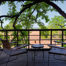 pench-tree-lodge-view-from-tree-house-500×500