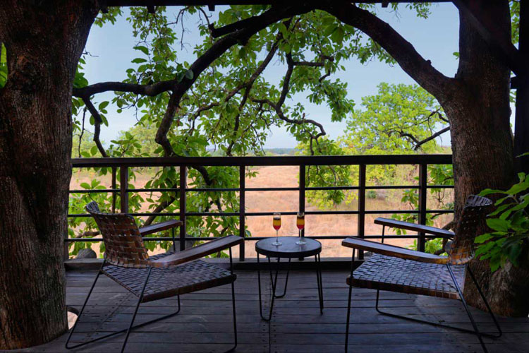 pench-tree-lodge-view-from-tree-house-500×500