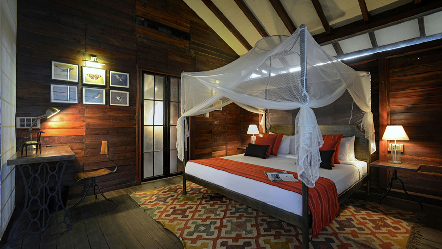 pench-tree-lodge-view-from-tree-house-room-500×500