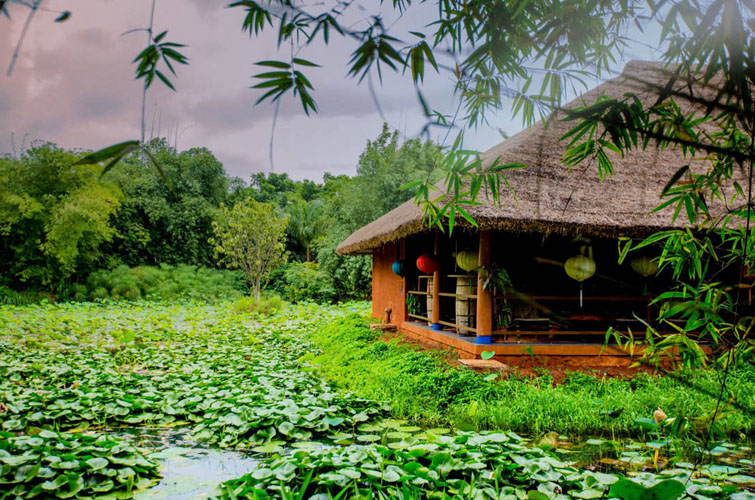 red-earth-kabini-the-cottage-500×500