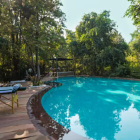 reni-pani-jungle-lodge-swimming-pool-500×500
