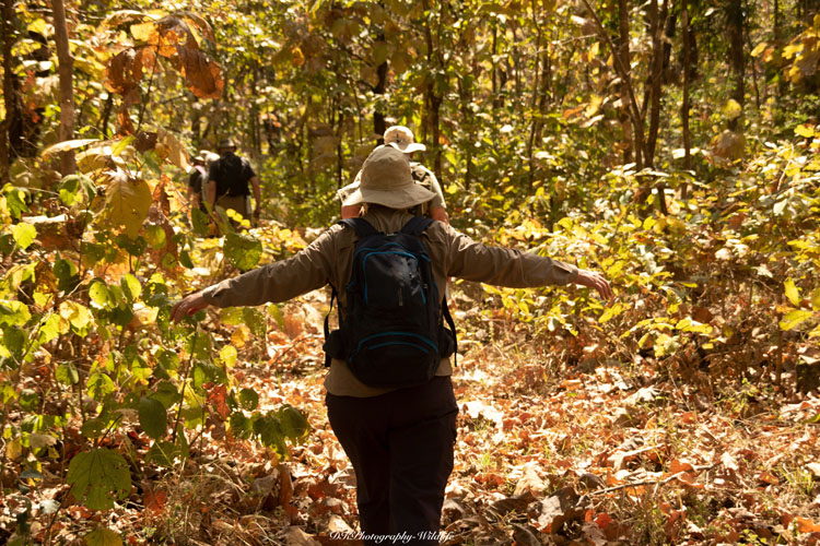 satpura-camp-walk-in-the-wild-500×500