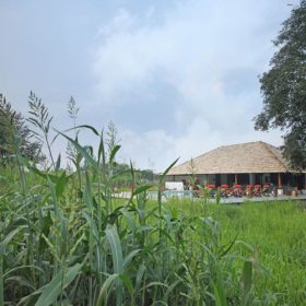 svasara-jungle-lodge-pool-500×500
