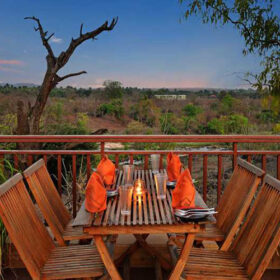 the-fern-gir-forest-deck-500×500