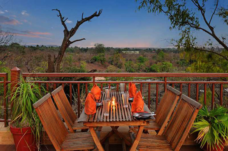 the-fern-gir-forest-deck-500×500