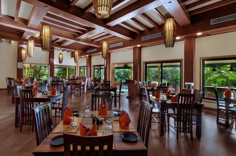the-fern-gir-forest-dining-500×500