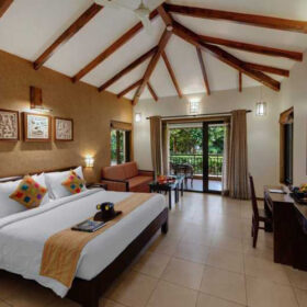 the-fern-gir-forest-room-500×500