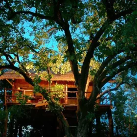 tree-house-hideaway-the-house-500×500