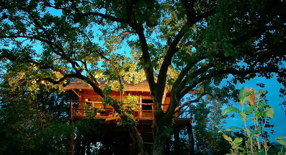 tree-house-hideaway-the-house-500×500