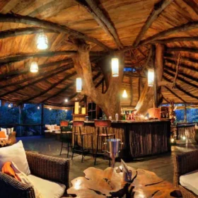 tree-house-hideaway-the-lounge-bar2-500×500