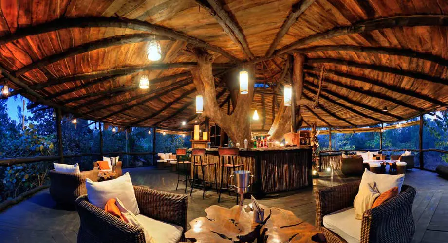 tree-house-hideaway-the-lounge-bar2-500×500