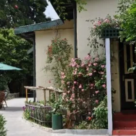 windamere-darjeeling-lawn-500×500