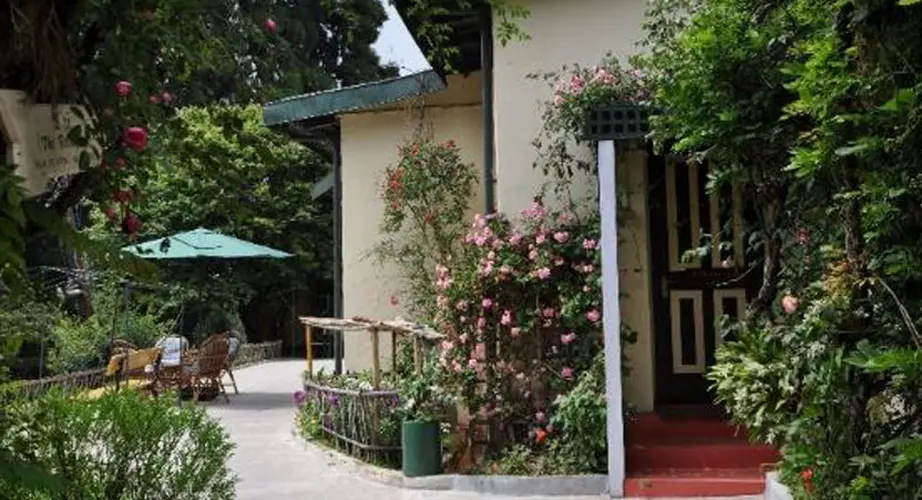 windamere-darjeeling-lawn-500×500