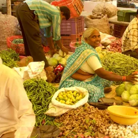 woman-selling-vegetables-slider-500×500
