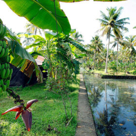 Philipkuttys-Farm-Lawn-Area-500×500