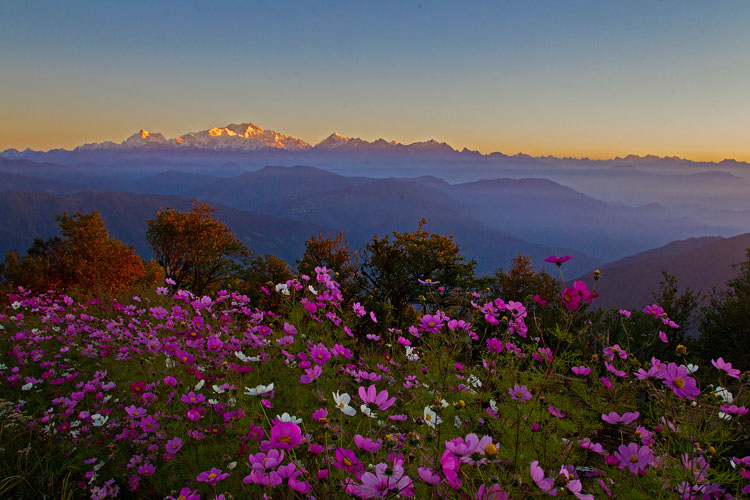 Singalila-Sunrise-Shantanu-Prasad-500×500