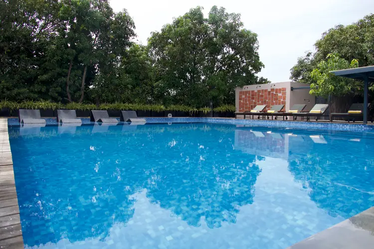 Woods-at-sasan-swimming-pool-500×500
