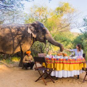 dera-amer-wilderness-camp-dining-with-elephant-500×500