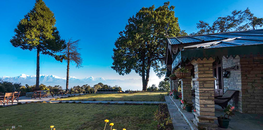 nine-furlongs-lawn-500×500