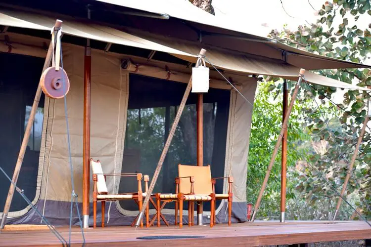 tutc-untamed-bandhavgarh-deck-500×500